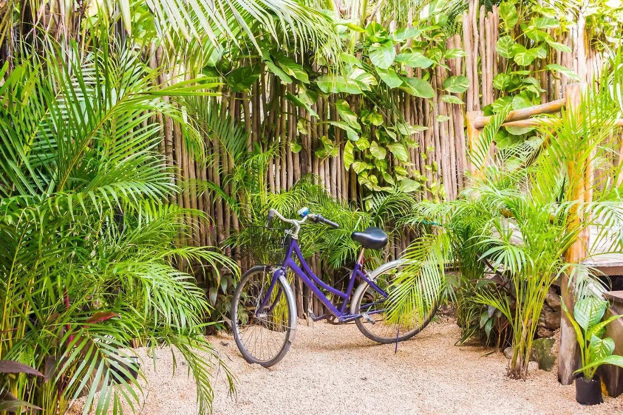** Bed & Breakfast Oostel Smart Hostel - Tulum Playa Messico