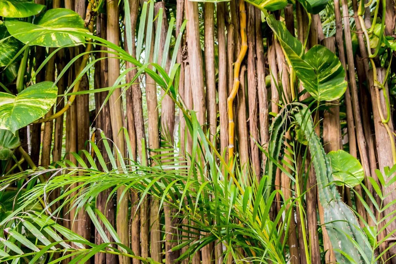 Oostel Smart Hostel - Tulum Playa