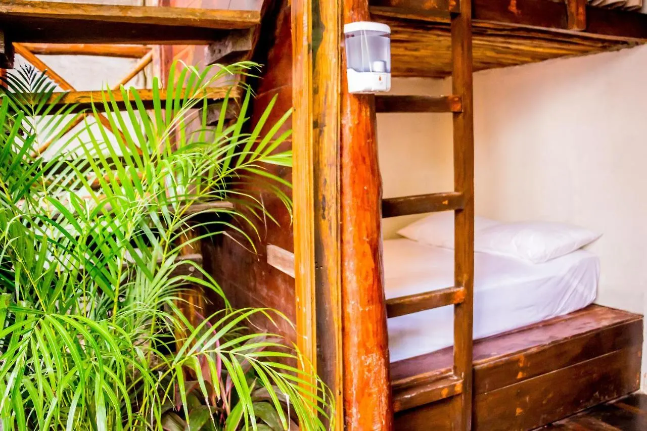 Bed & Breakfast Oostel Smart Hostel - Tulum Playa