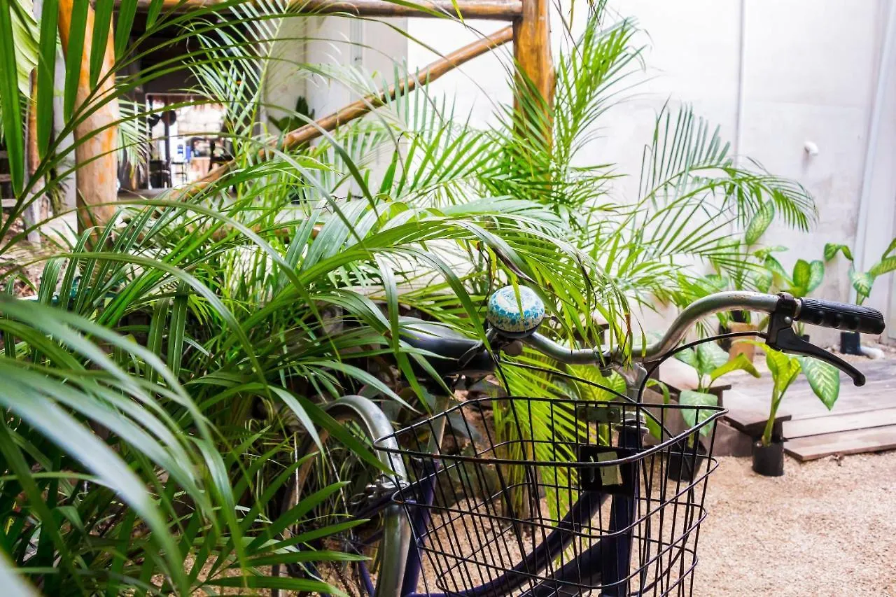 Oostel Smart Hostel - Tulum Playa Bed & Breakfast