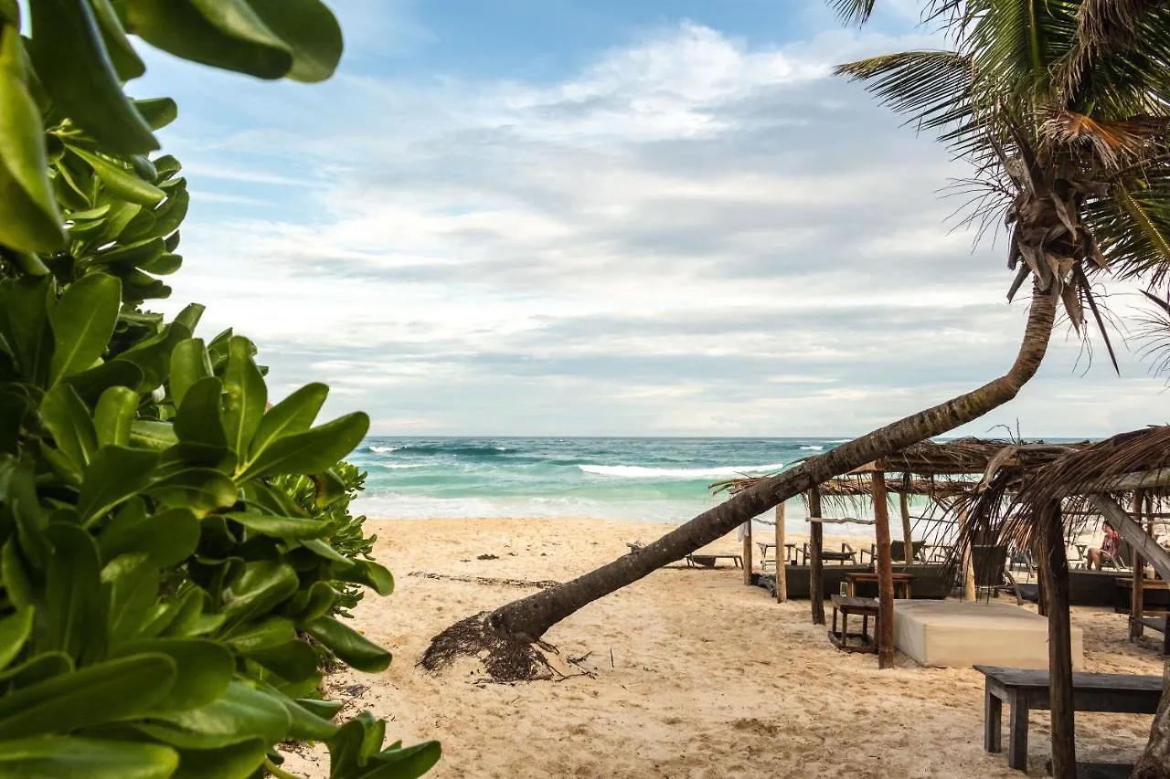 Oostel Smart Hostel - Tulum Playa 2*,  Messico