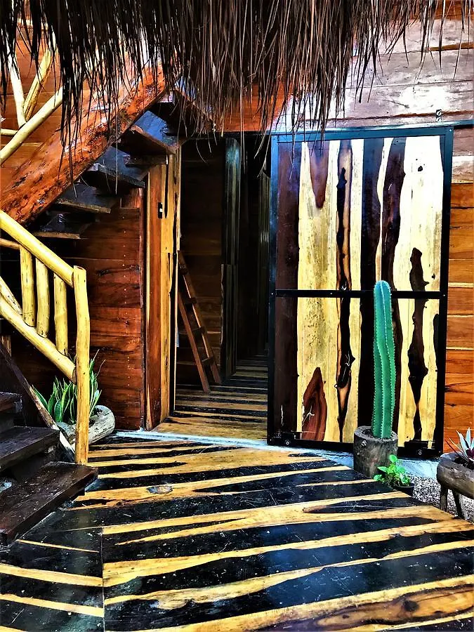 ** Bed & Breakfast Oostel Smart Hostel - Tulum Playa Messico